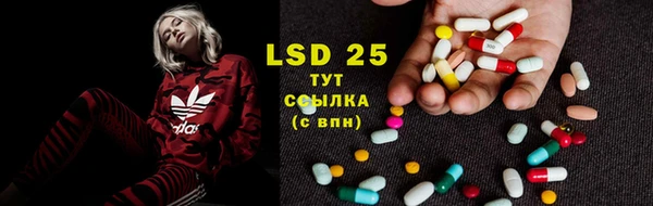spice Пересвет