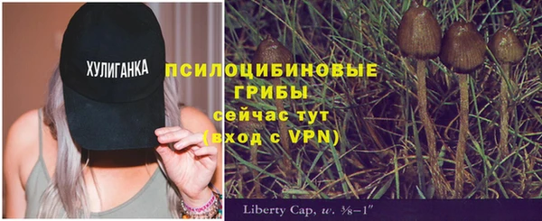 крисы Ельня