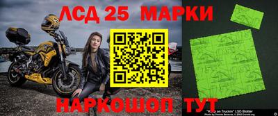 СК Будённовск