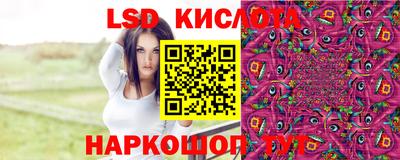 СК Будённовск