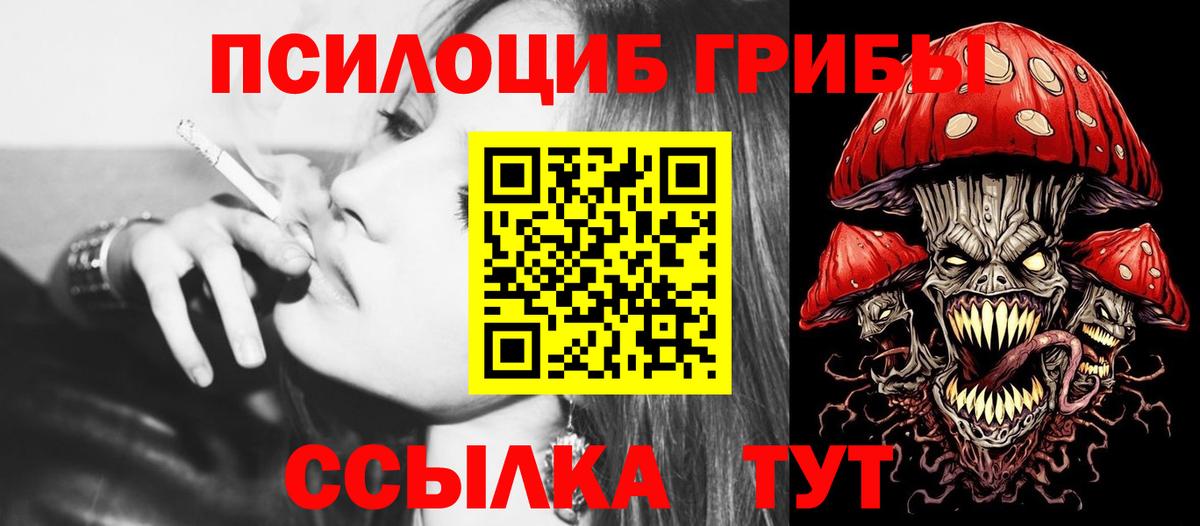 цены наркотик  Десногорск  Псилоцибиновые грибы GOLDEN TEACHER 